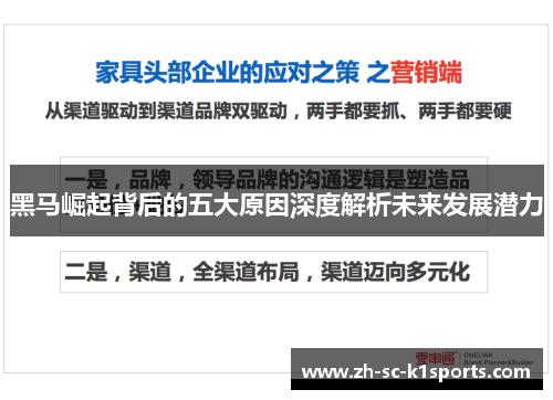 黑马崛起背后的五大原因深度解析未来发展潜力 黑马崛起背后的五大原因深度解析未来发展潜力